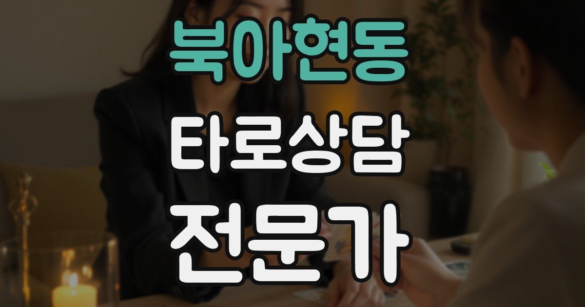 북아현동 타로상담전문가 자격증