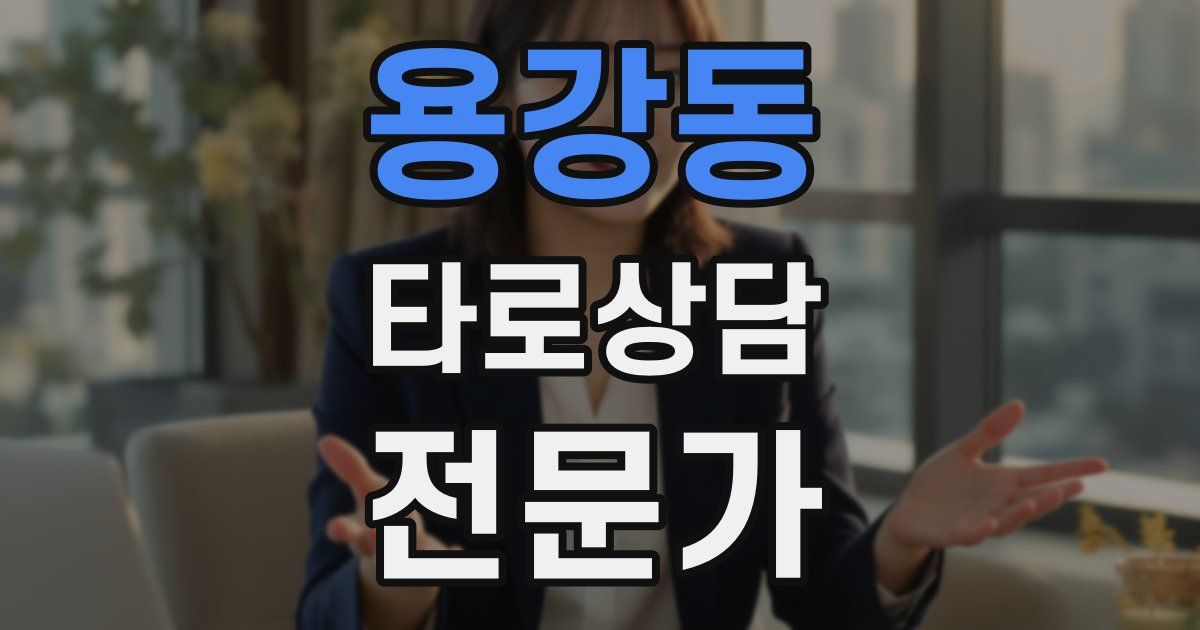 용강동 타로상담전문가 자격증