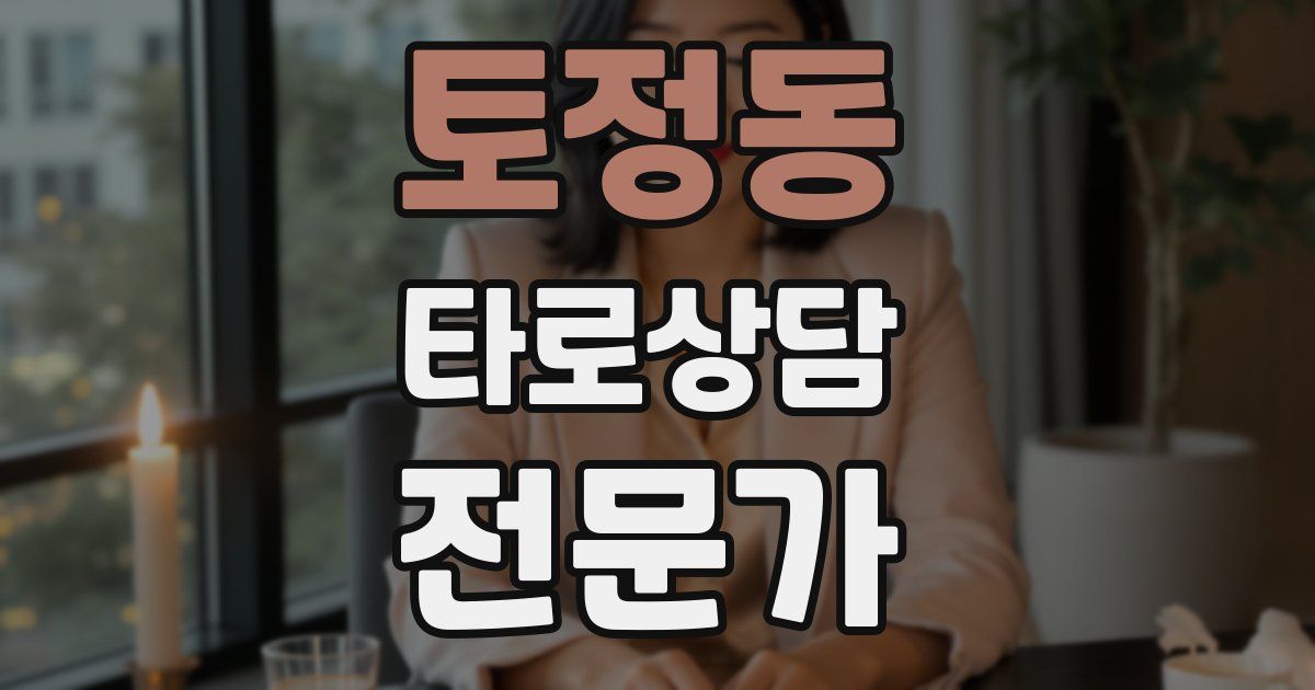 토정동 타로상담전문가 자격증