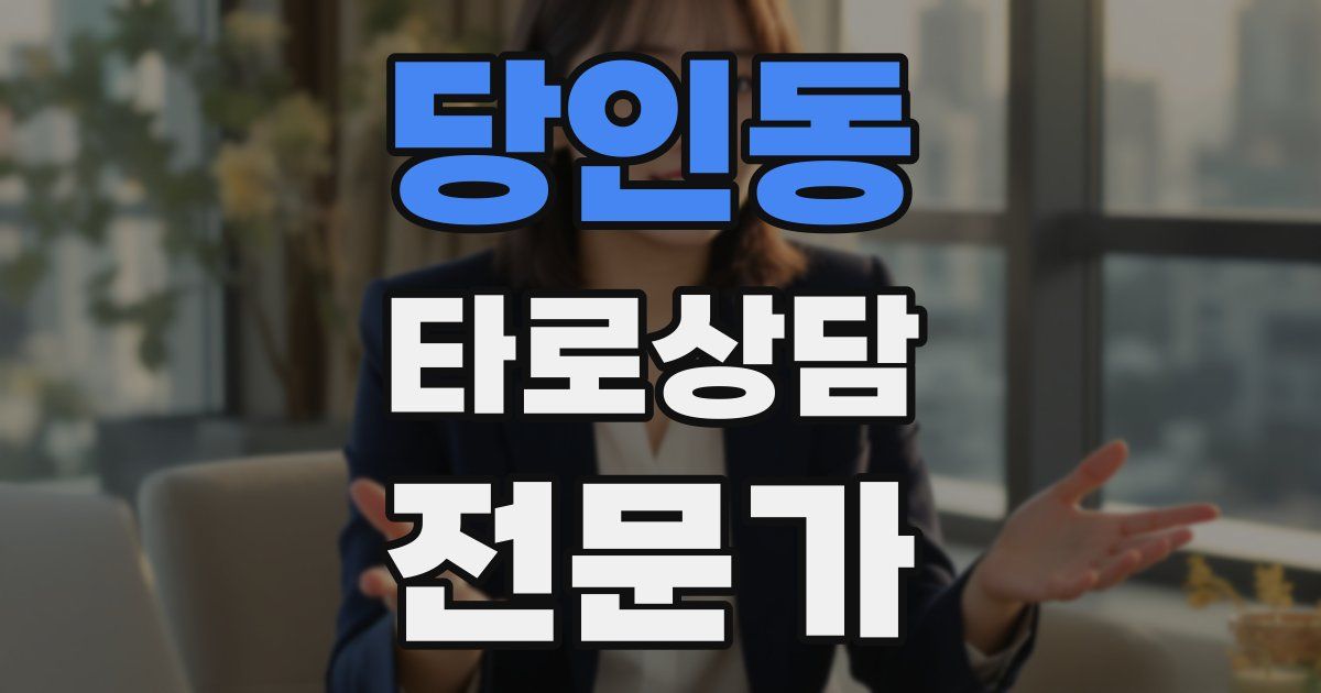 당인동 타로상담전문가 자격증