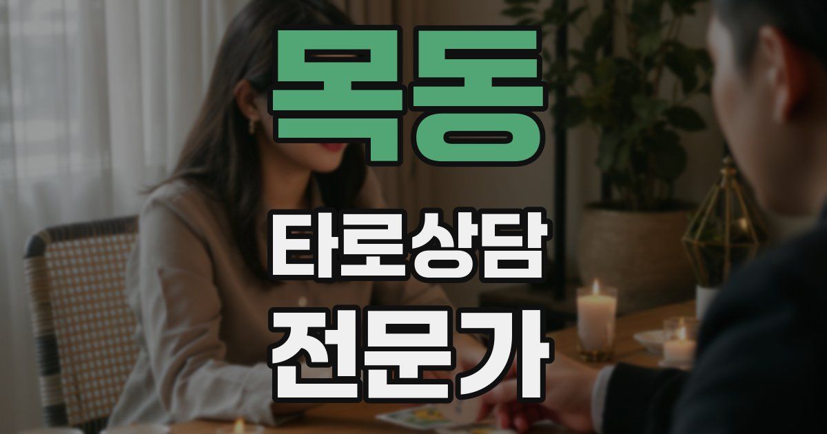목동 타로상담전문가 자격증