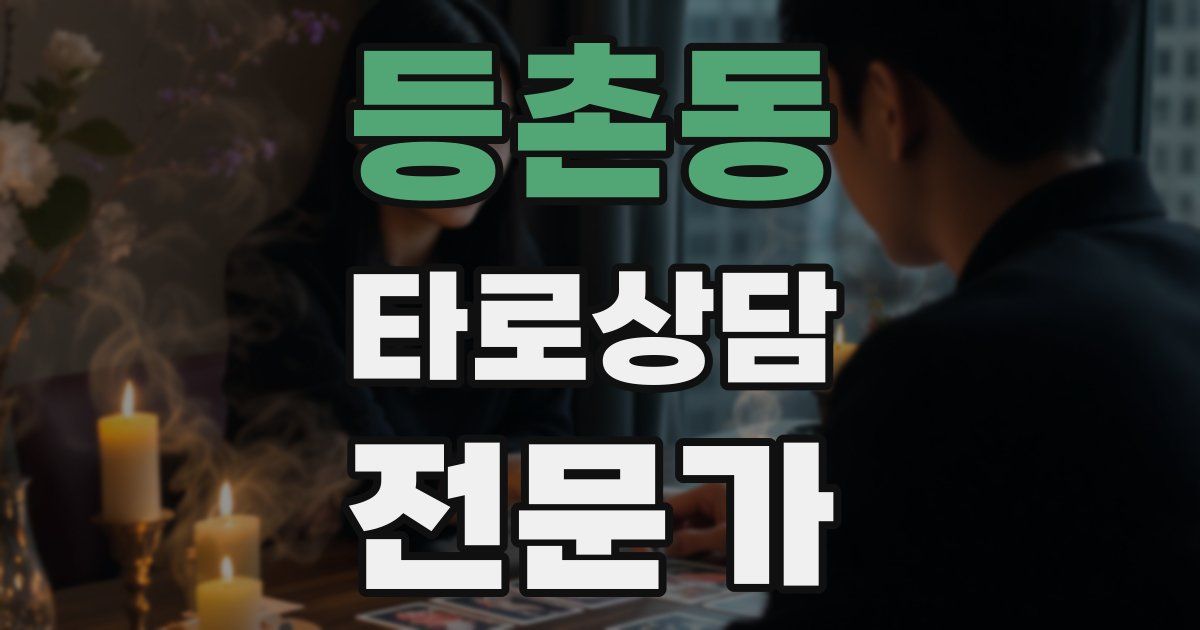 등촌동 타로상담전문가 자격증