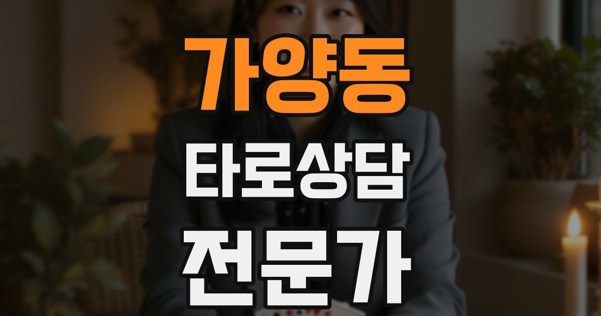 가양동 타로상담전문가 자격증