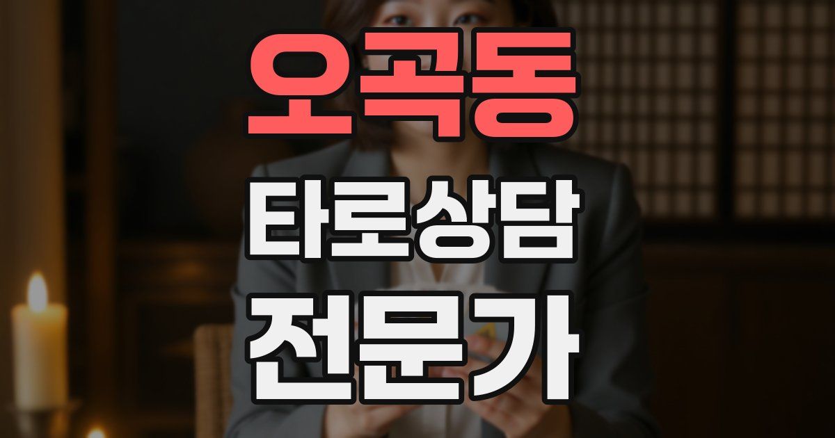 오곡동 타로상담전문가 자격증