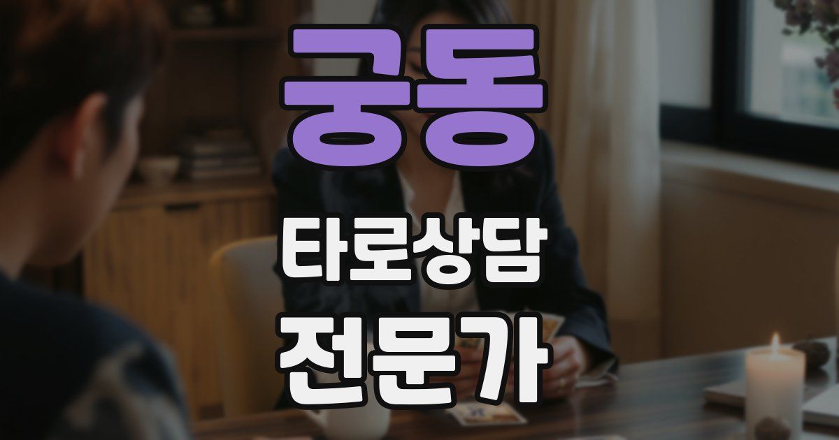 궁동 타로상담전문가 자격증