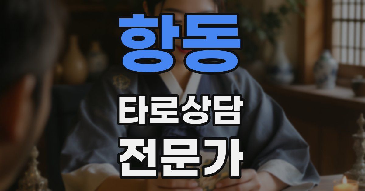 항동 타로상담전문가 자격증