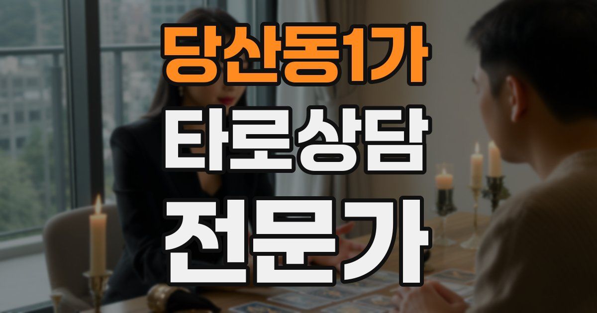 당산동1가 타로상담전문가 자격증