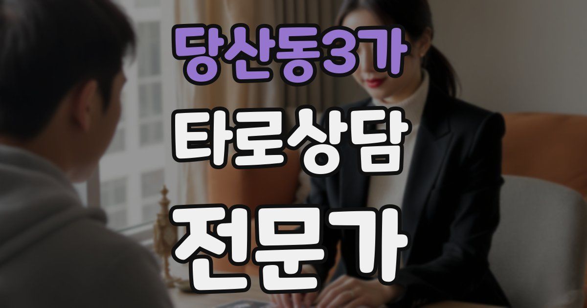 당산동3가 타로상담전문가 자격증