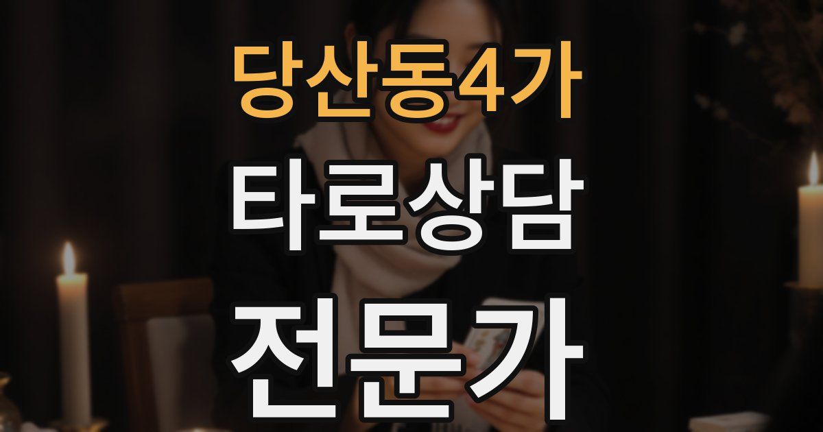 당산동4가 타로상담전문가 자격증