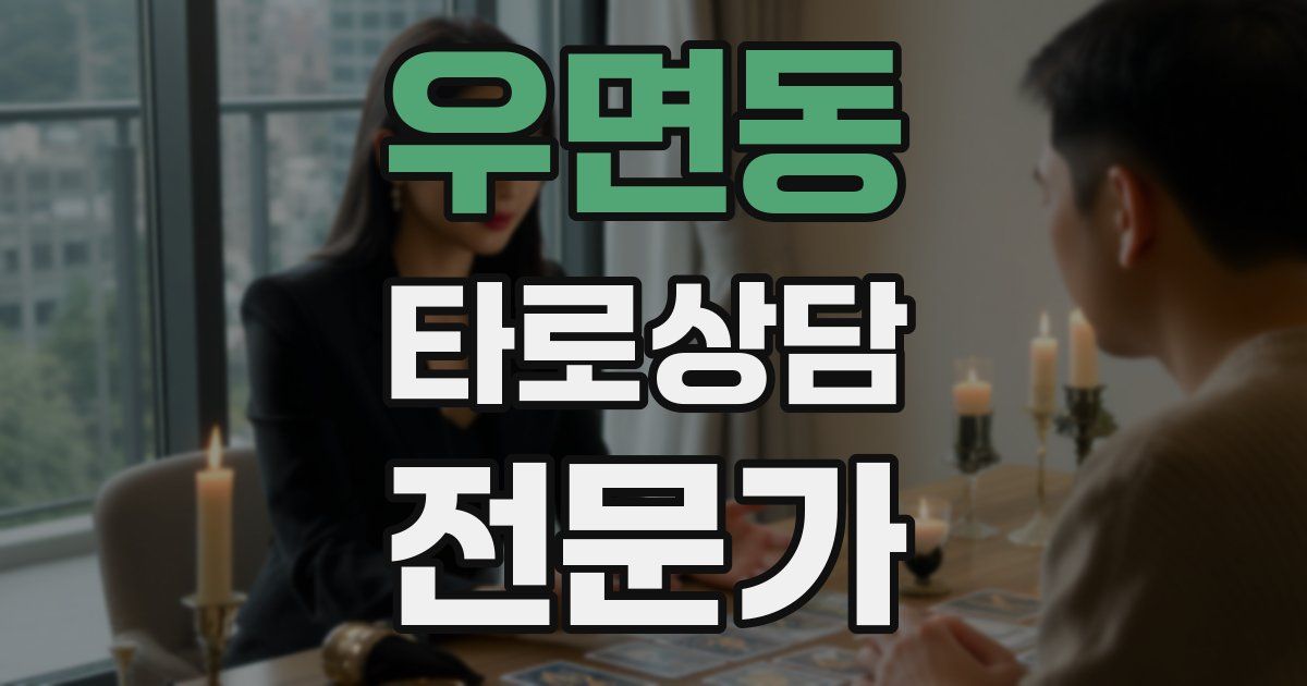 우면동 타로상담전문가 자격증