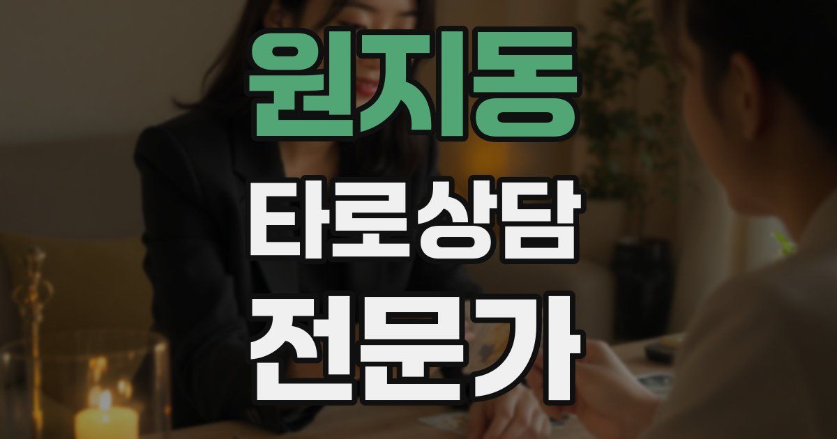 원지동 타로상담전문가 자격증