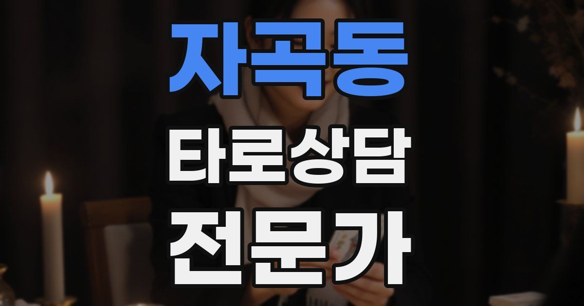 자곡동 타로상담전문가 자격증