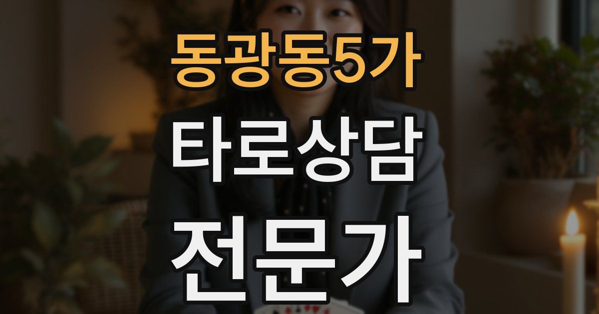 동광동5가 타로상담전문가 자격증