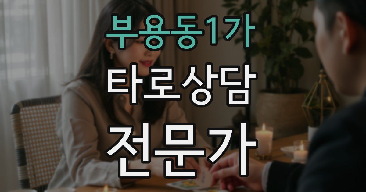 부용동1가 타로상담전문가 자격증