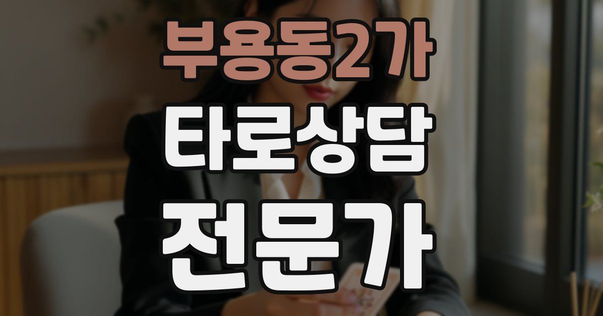 부용동2가 타로상담전문가 자격증