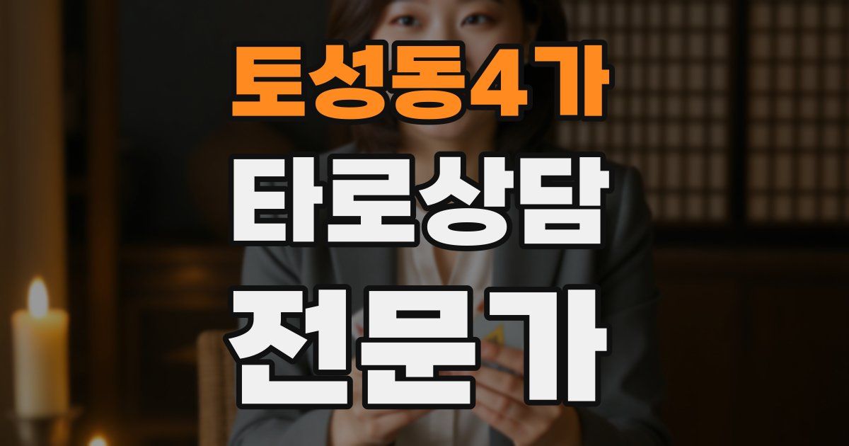 토성동4가 타로상담전문가 자격증