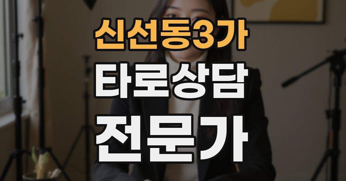 신선동3가 타로상담전문가 자격증