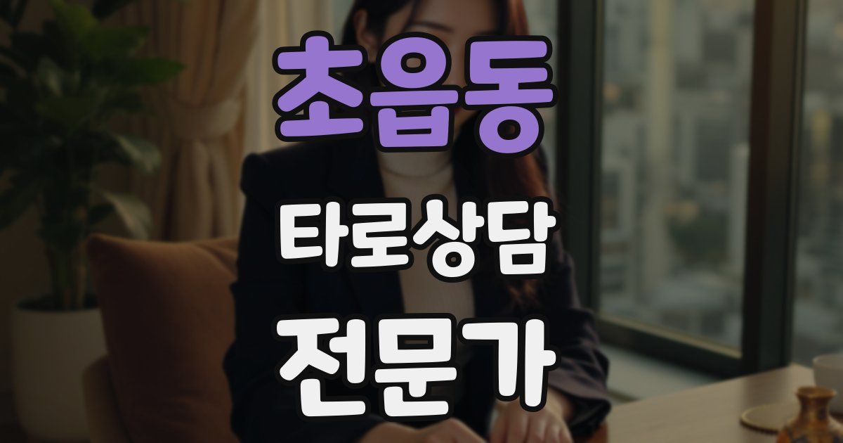 초읍동 타로상담전문가 자격증