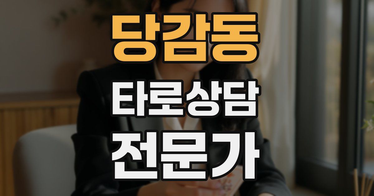 당감동 타로상담전문가 자격증