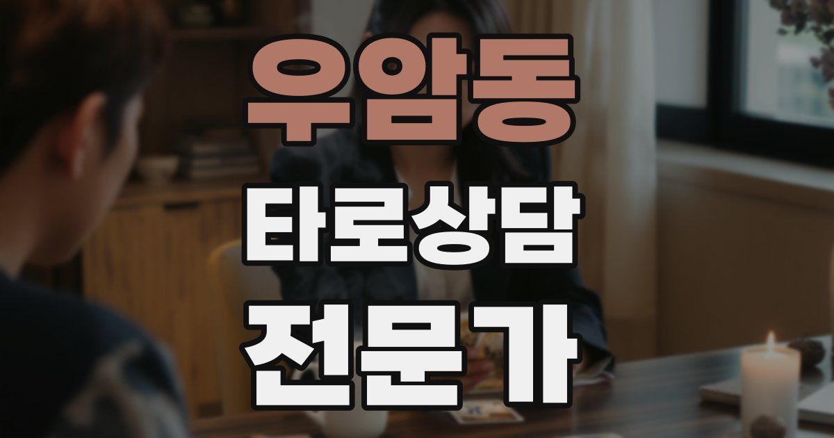 우암동 타로상담전문가 자격증