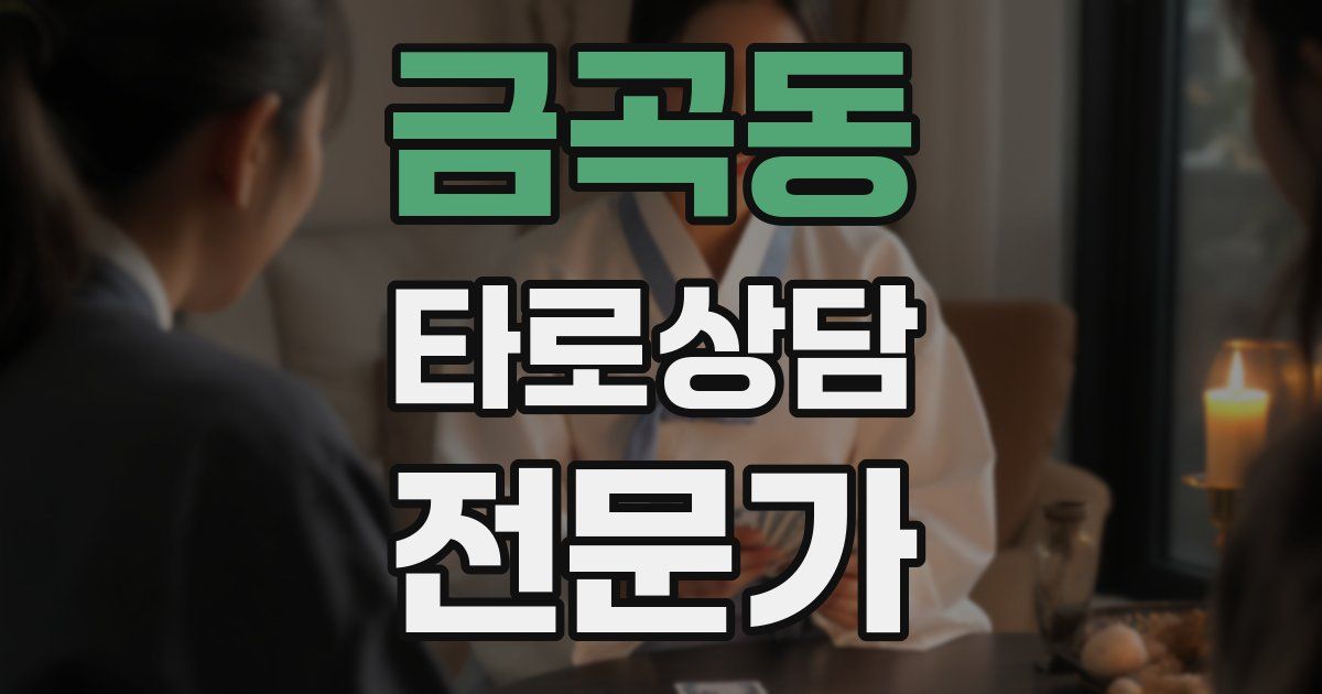 금곡동 타로상담전문가 자격증