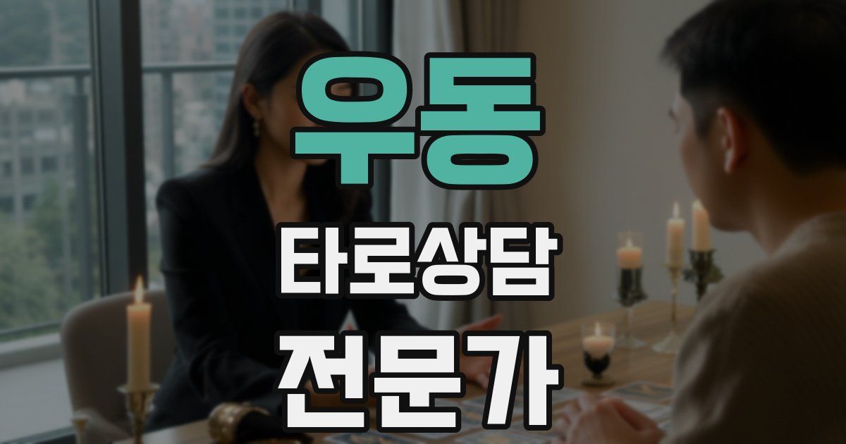 우동 타로상담전문가 자격증