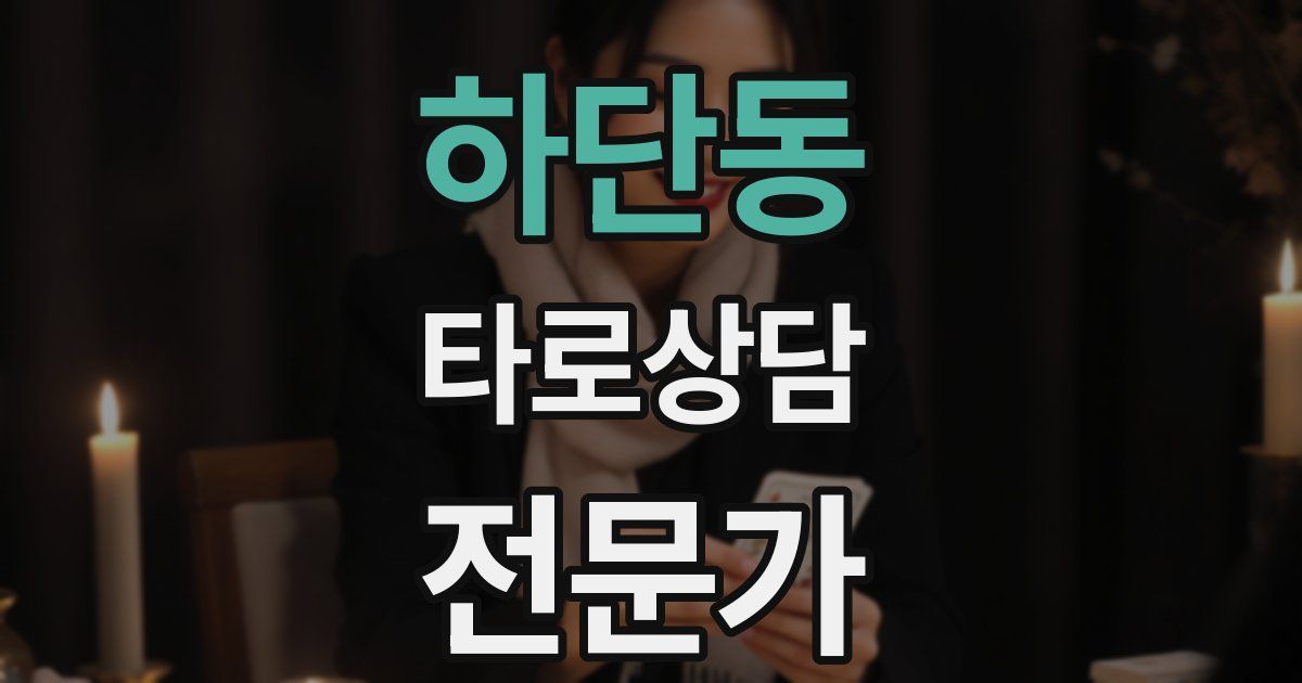 하단동 타로상담전문가 자격증