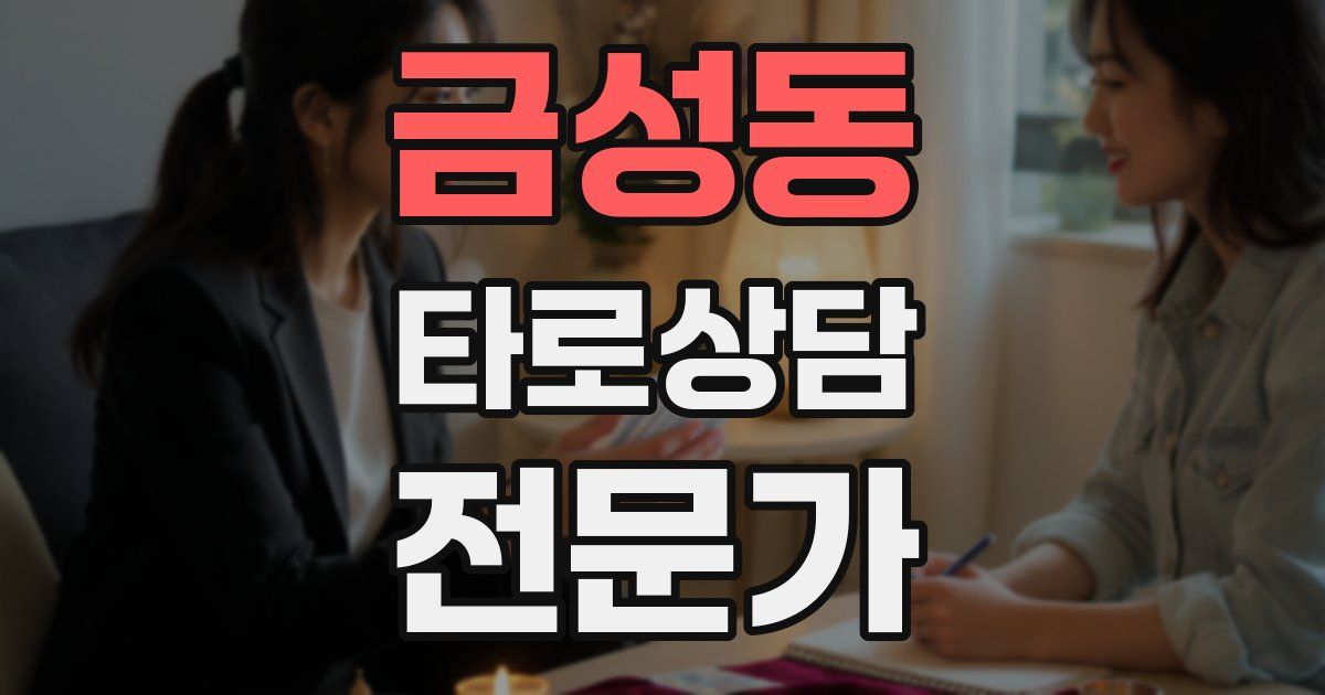 금성동 타로상담전문가 자격증