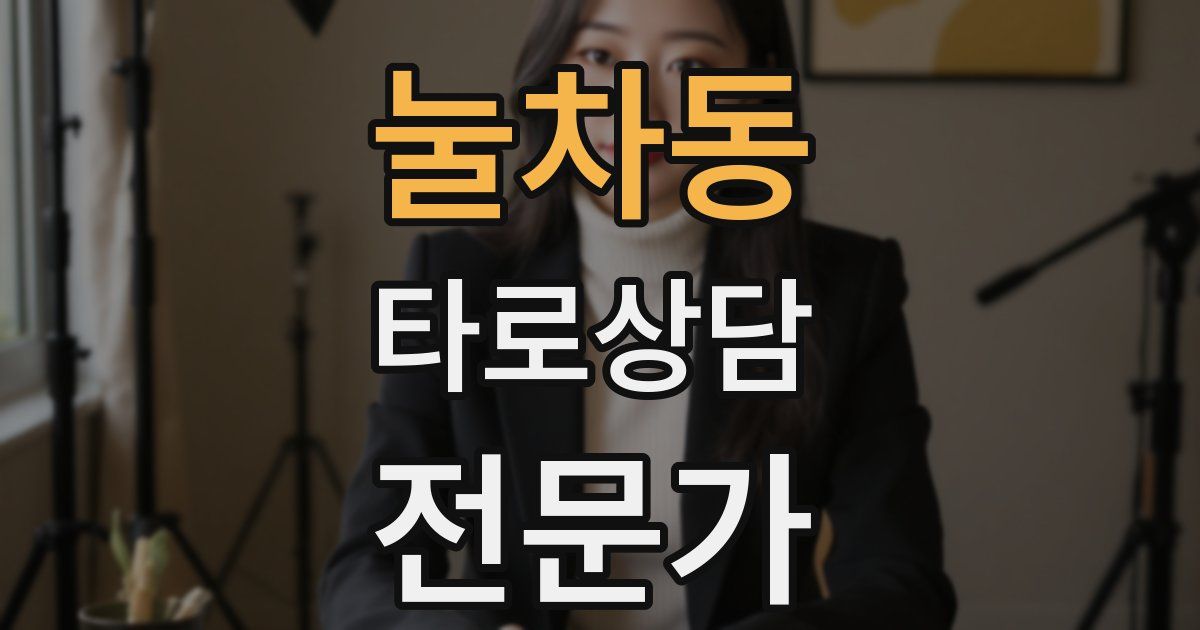 눌차동 타로상담전문가 자격증