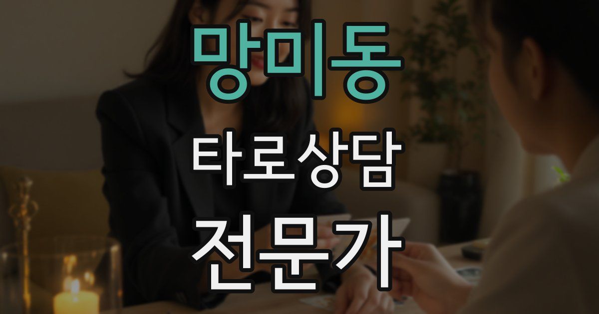 망미동 타로상담전문가 자격증
