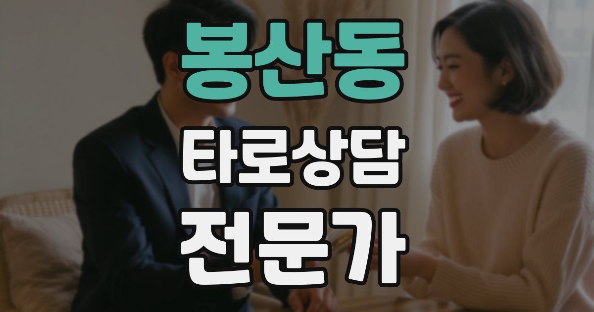 봉산동 타로상담전문가 자격증