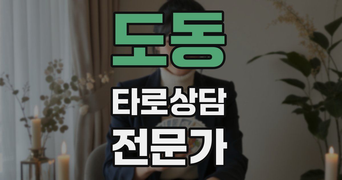 도동 타로상담전문가 자격증
