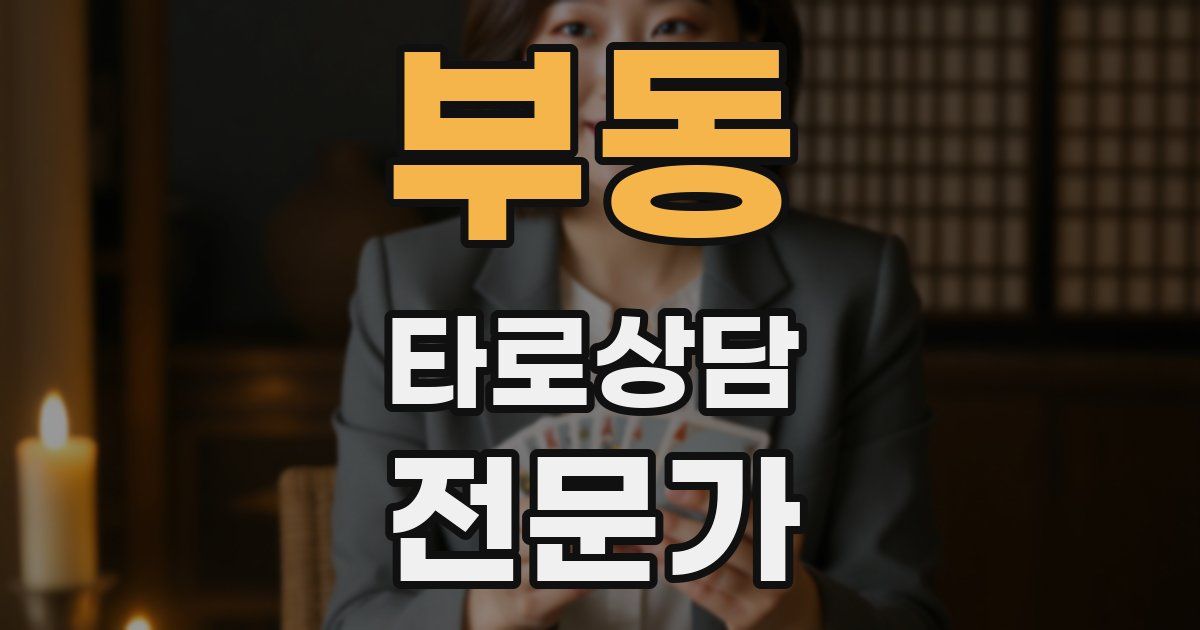 부동 타로상담전문가 자격증