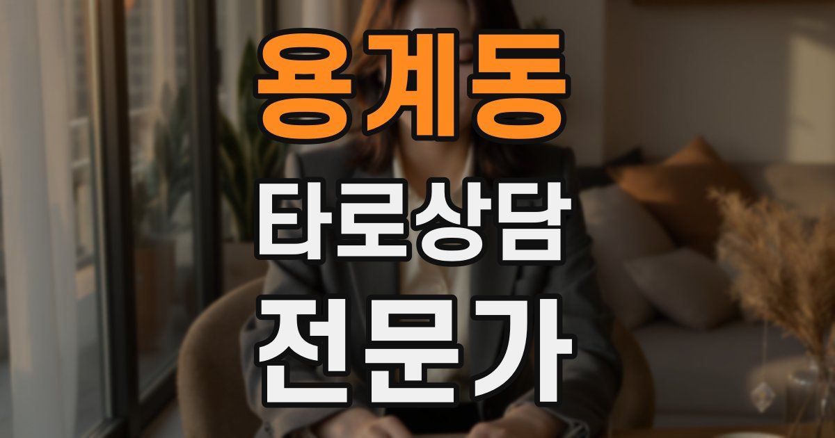 용계동 타로상담전문가 자격증