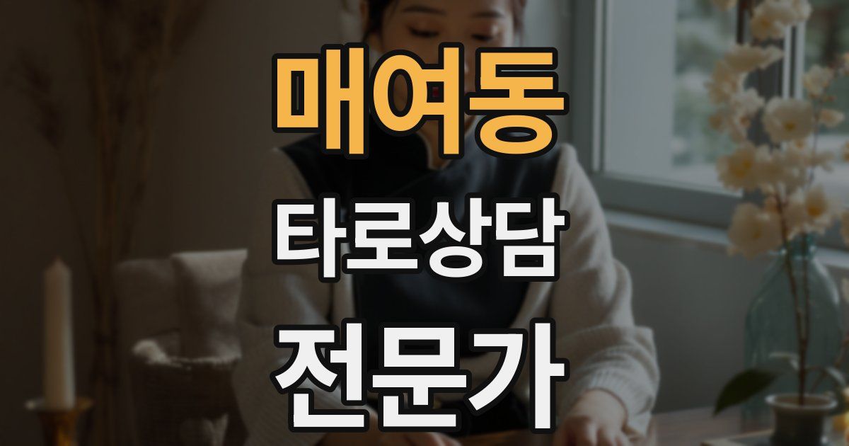 매여동 타로상담전문가 자격증