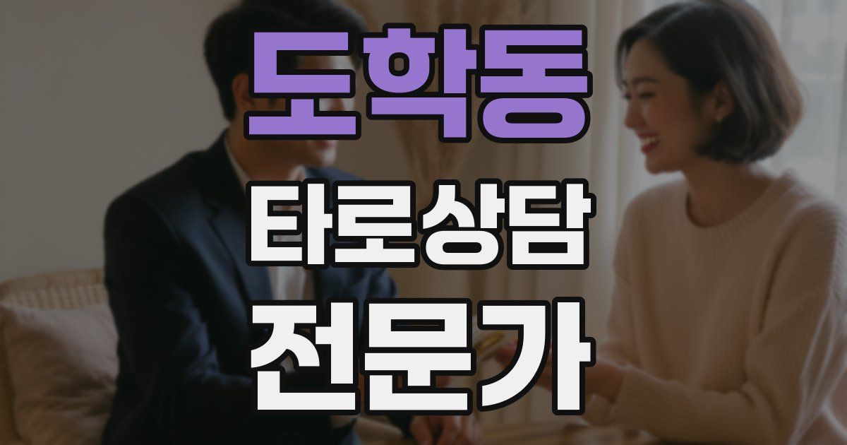 도학동 타로상담전문가 자격증