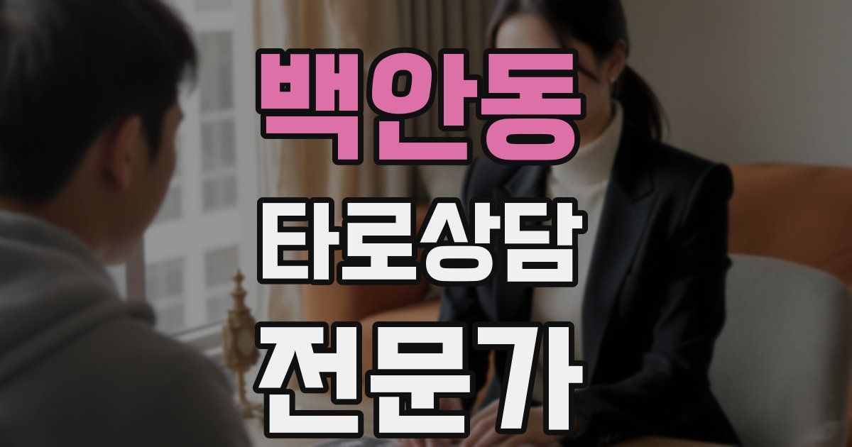 백안동 타로상담전문가 자격증