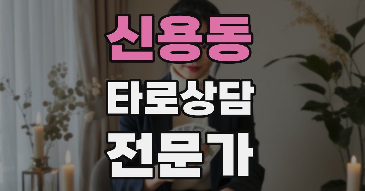 신용동 타로상담전문가 자격증