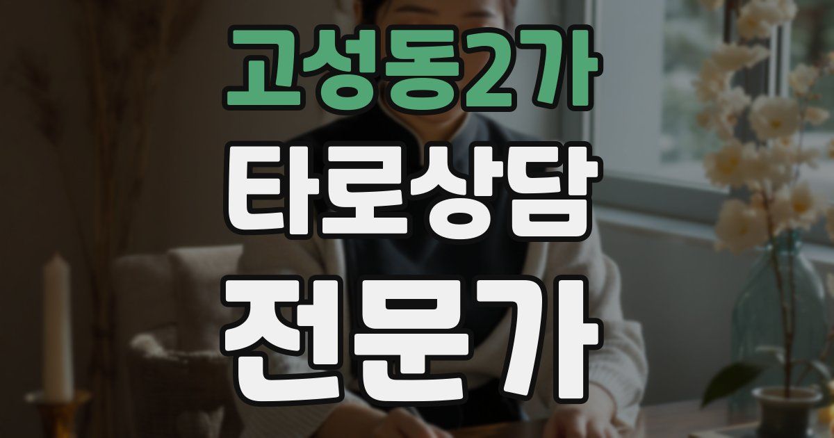 고성동2가 타로상담전문가 자격증