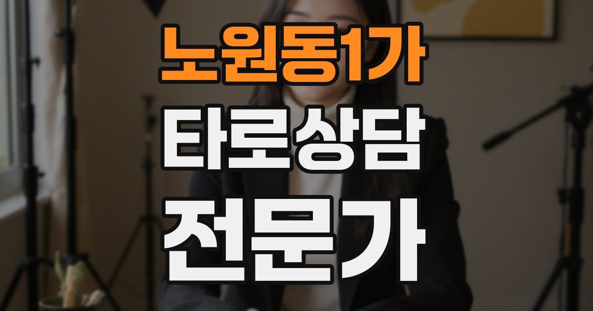 노원동1가 타로상담전문가 자격증