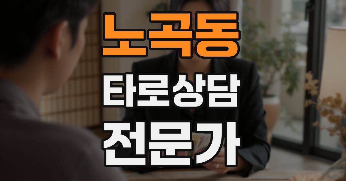 노곡동 타로상담전문가 자격증