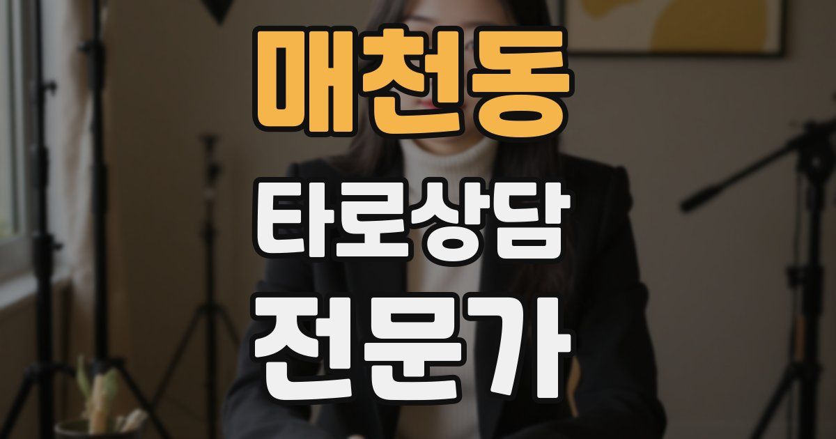 매천동 타로상담전문가 자격증