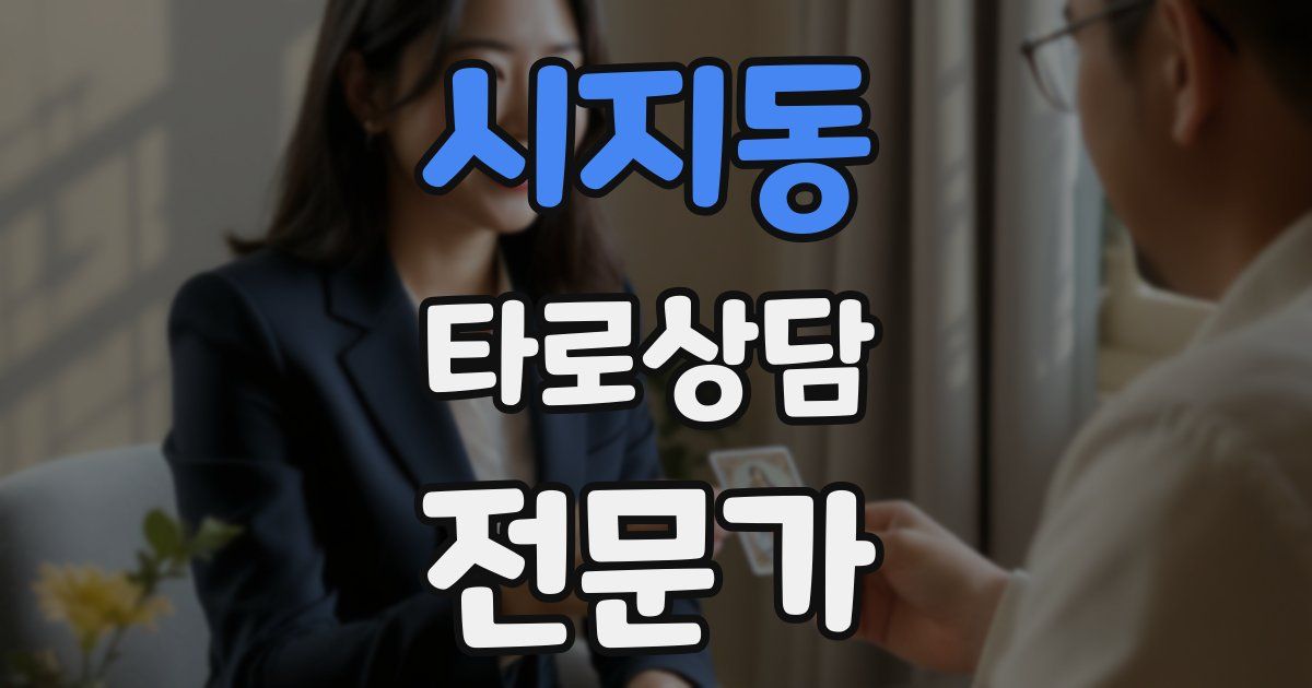 시지동 타로상담전문가 자격증