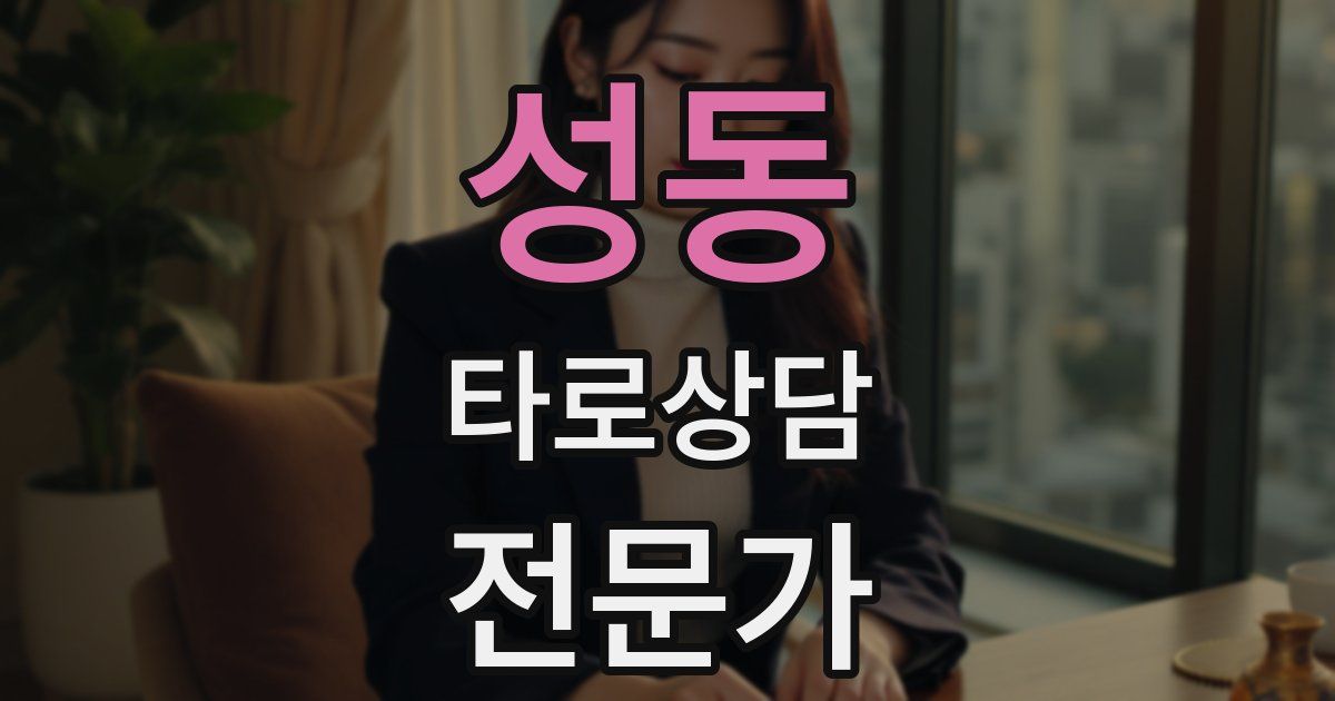 성동 타로상담전문가 자격증