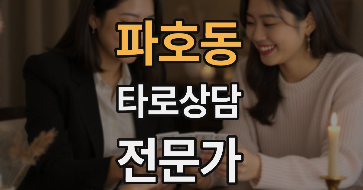 파호동 타로상담전문가 자격증
