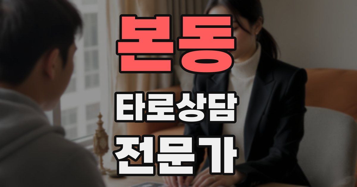 본동 타로상담전문가 자격증