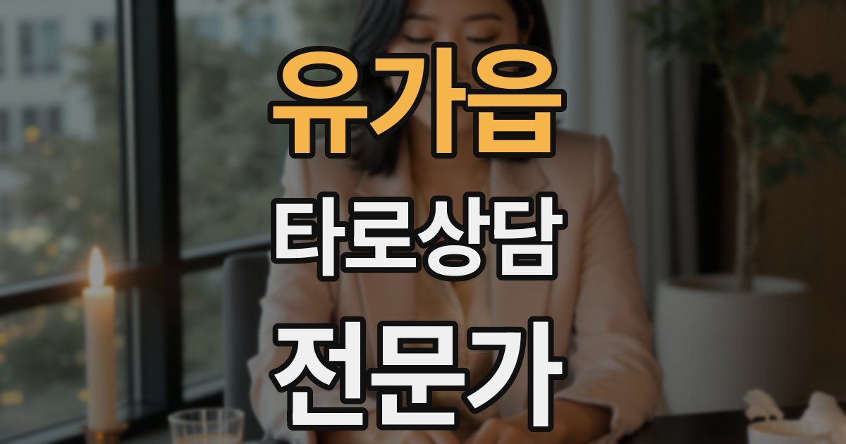 유가읍 타로상담전문가 자격증