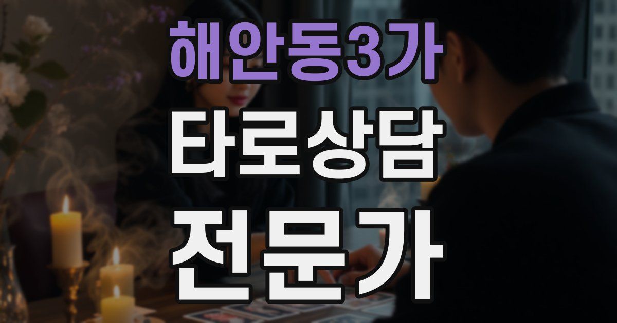 해안동3가 타로상담전문가 자격증