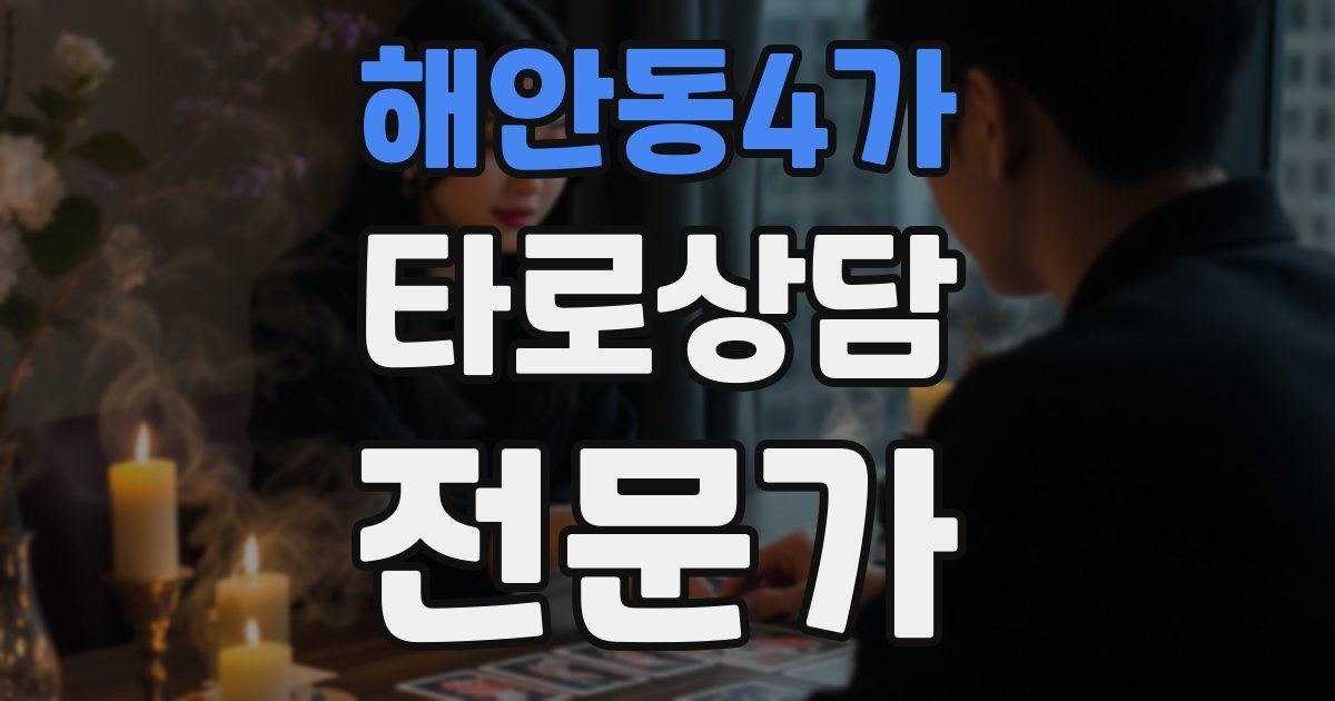 해안동4가 타로상담전문가 자격증