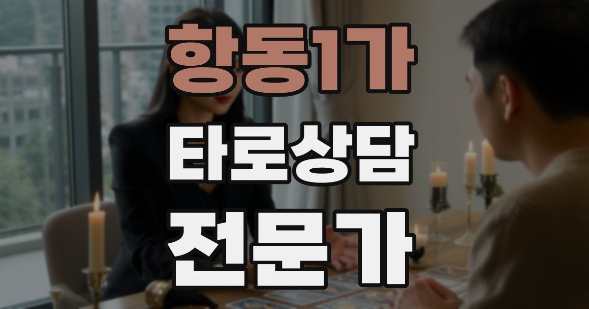 항동1가 타로상담전문가 자격증